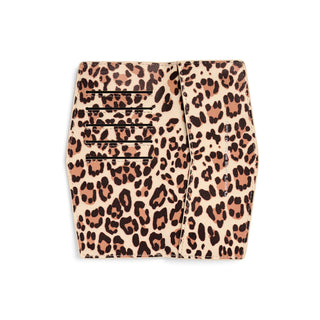 The Swallet - Leopard